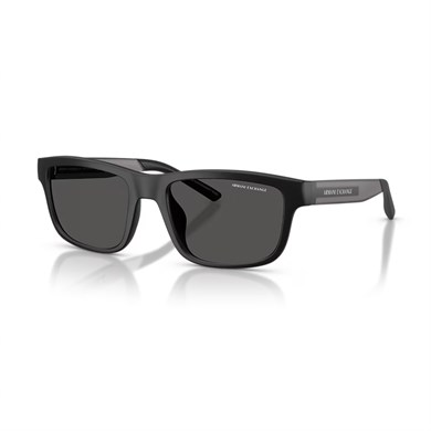 Armani Exchange AEX4169SU 500187 55 Güneş Gözlüğü