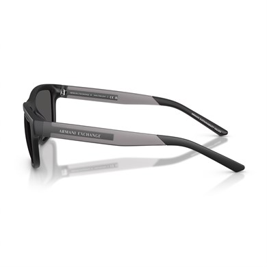 Armani Exchange AEX4169SU 500187 55 Güneş Gözlüğü