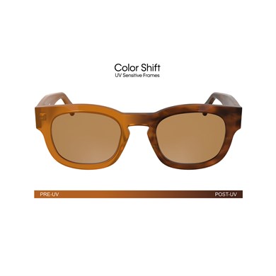 Calvin Klein Jeans CKJ 25601S 201 50 Color Shift Unisex Oval Kahverengi Kemik Güneş Gözlüğü