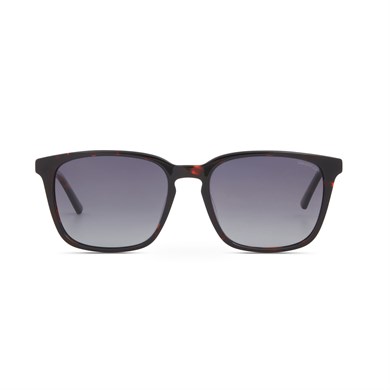 Despada DS2440 C2 54 Polarize Güneş Gözlüğü