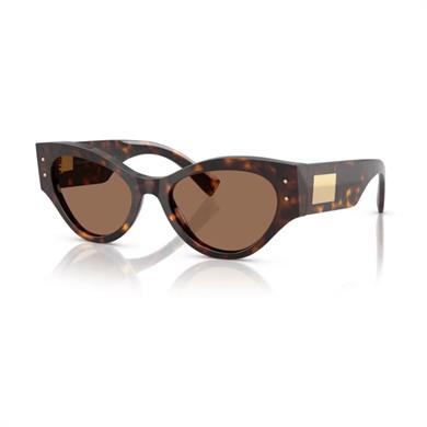 Dolce Gabbana DG 4480 50273 53 Kadın Kelebek Kırçıllı Kahverengi Kemik Güneş Gözlüğü