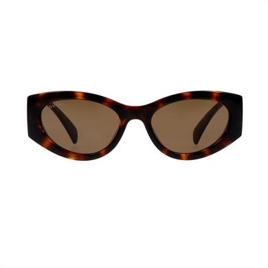 Gucci GG 1691S 002 54 Kadın Cat Eye Kırçıllı Kahverengi Kemik Güneş Gözlüğü
