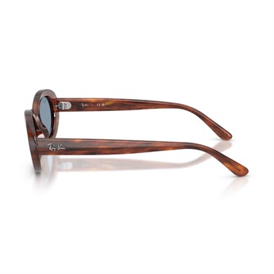 Ray-Ban RB 2223 95456 54 Kadın Oval Kırçıllı Kahverengi Kemik Güneş Gözlüğü