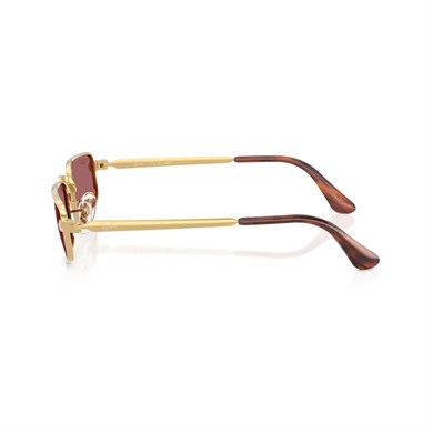 Ray-Ban RB 3927 001AF 54 A$AP ROCKY Unisex Polarize Dikdörtgen Gold Metal Güneş Gözlüğü