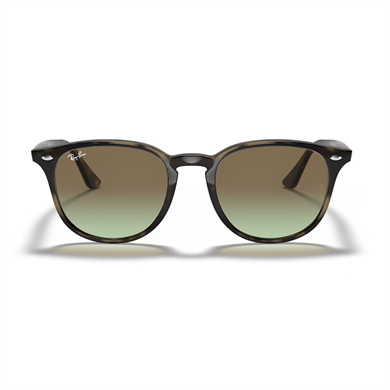 Ray-Ban RB 4259 731E8 51 Unisex Oval Kırçıllı Gri Degrade Kemik Güneş Gözlüğü