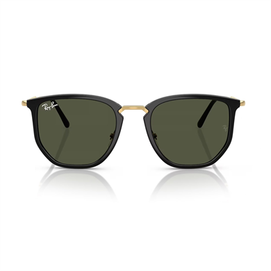 Ray-Ban RB 4451 630631 50 Unisex Geometrik Siyah Kombine Kemik Güneş Gözlüğü