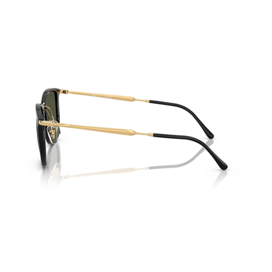 Ray-Ban RB 4451 630631 50 Unisex Geometrik Siyah Kombine Kemik Güneş Gözlüğü