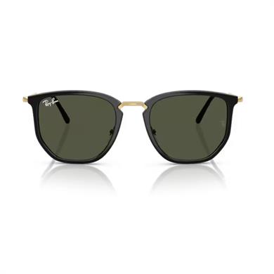 Ray-Ban RB 4451 630631 53 Unisex Geometrik Siyah Kombine Kemik Güneş Gözlüğü