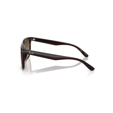 Ray-Ban RB 4466D 71413 47 Unisex Kare Degrade Kahverengi Kemik Güneş Gözlüğü