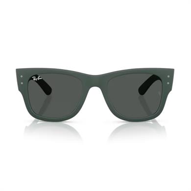 Ray-Ban RB 4840S 665787 52 Unisex Oval Yeşil Kemik Güneş Gözlüğü