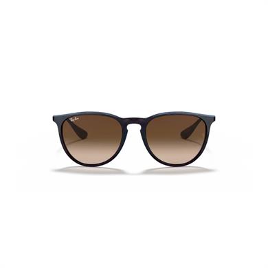 Ray-Ban RB 4171 631513 54 Erika Unisex Güneş Gözlüğü