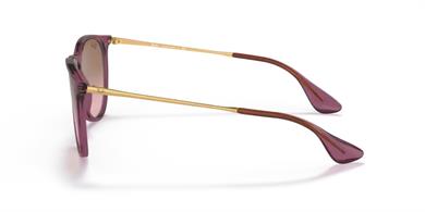 Ray-ban RB 4171 659114 54 Erika Kadın Güneş Gözlüğü