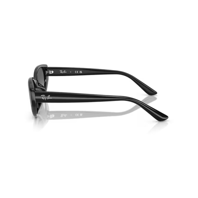 Ray-Ban RB 4457D 667711 55 Unisex Yastık Siyah Degrade Kemik Güneş Gözlüğü