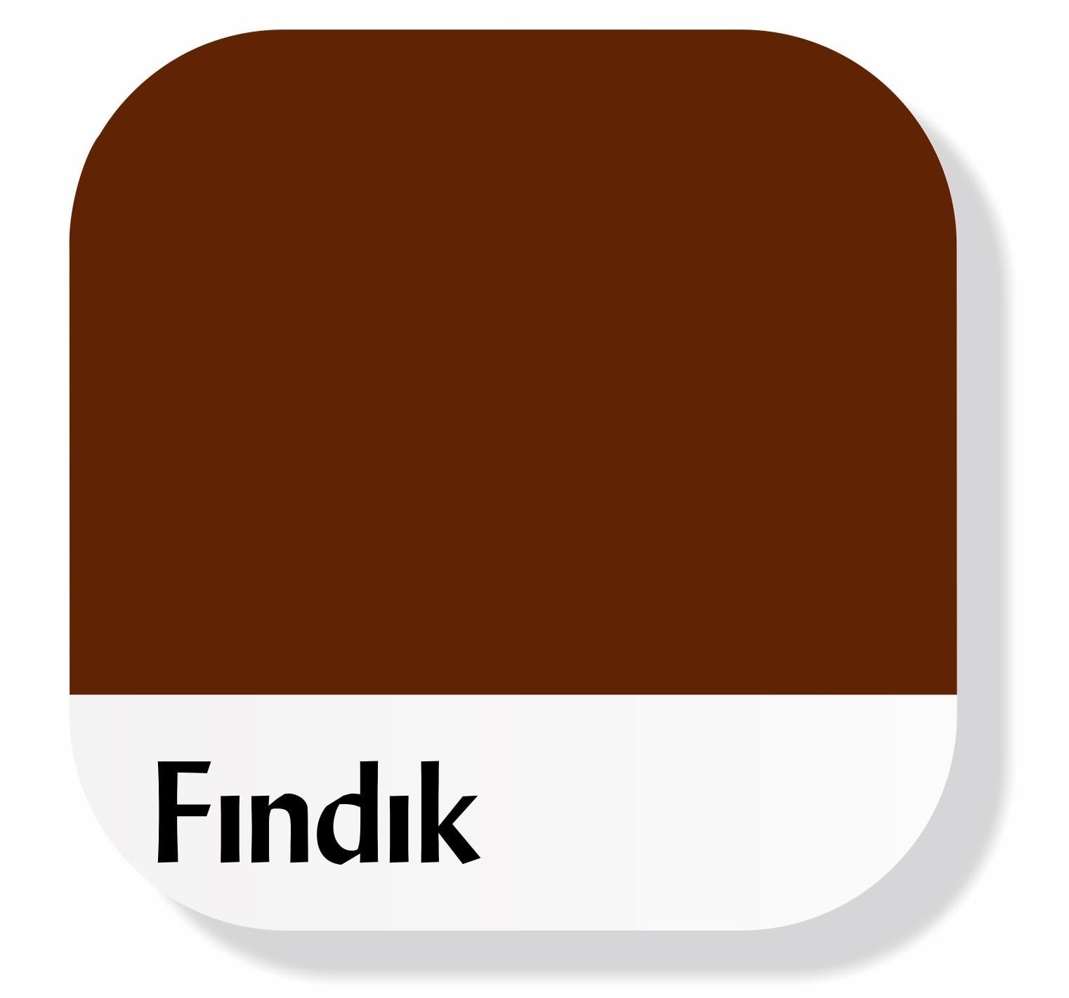 Piktura Akrilik Multisurface Boya Fındık
