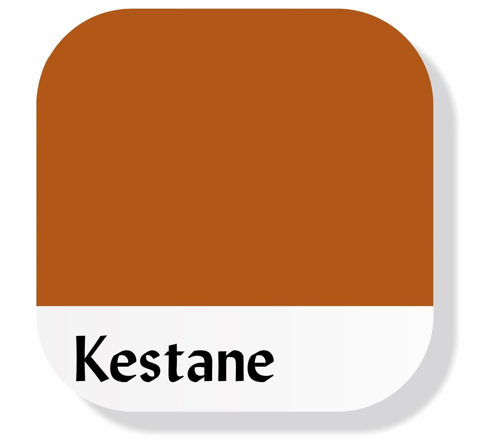 Piktura Akrilik Multisurface Boya Kestane
