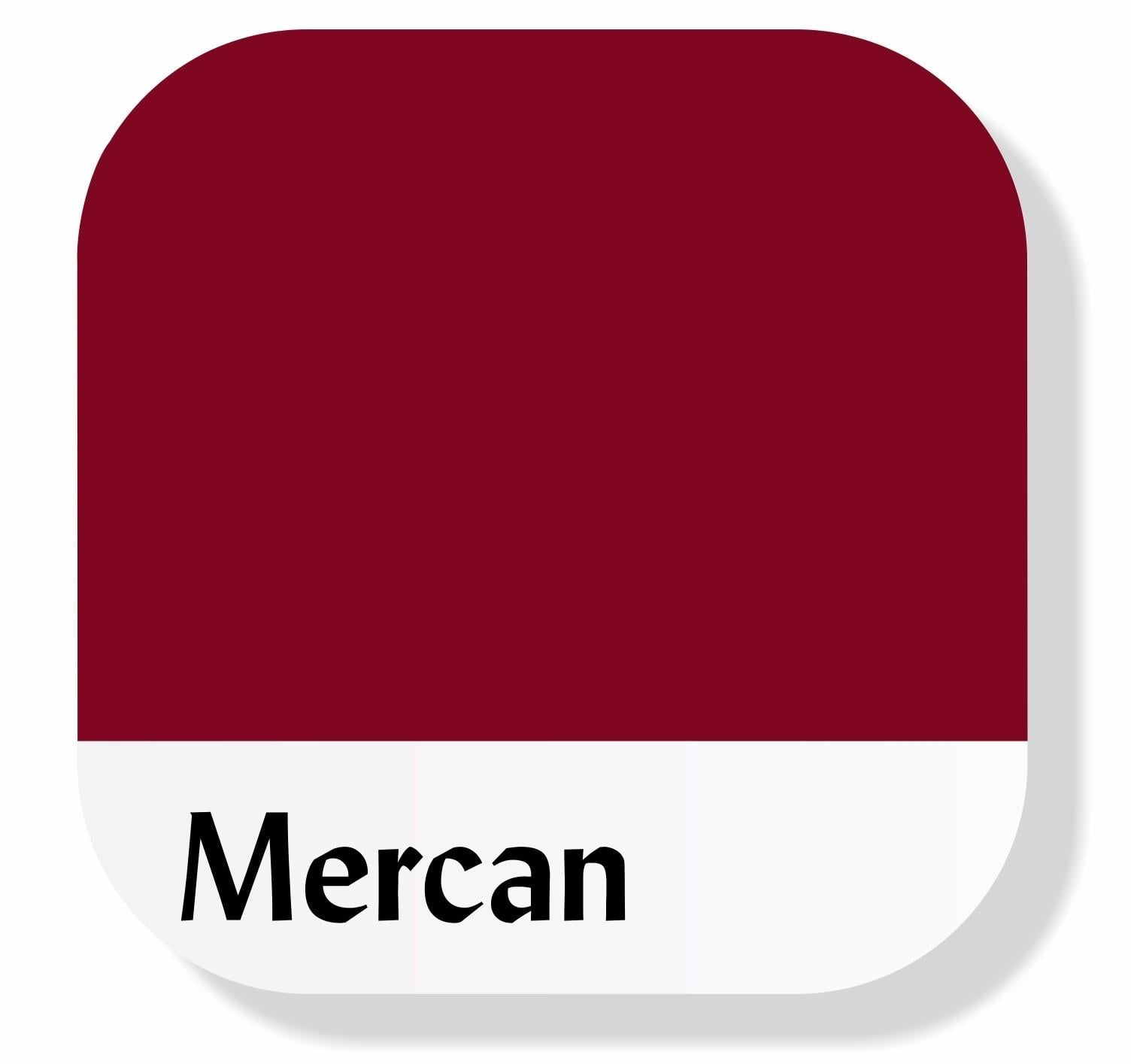 Piktura Akrilik Multisurface Boya Mercan