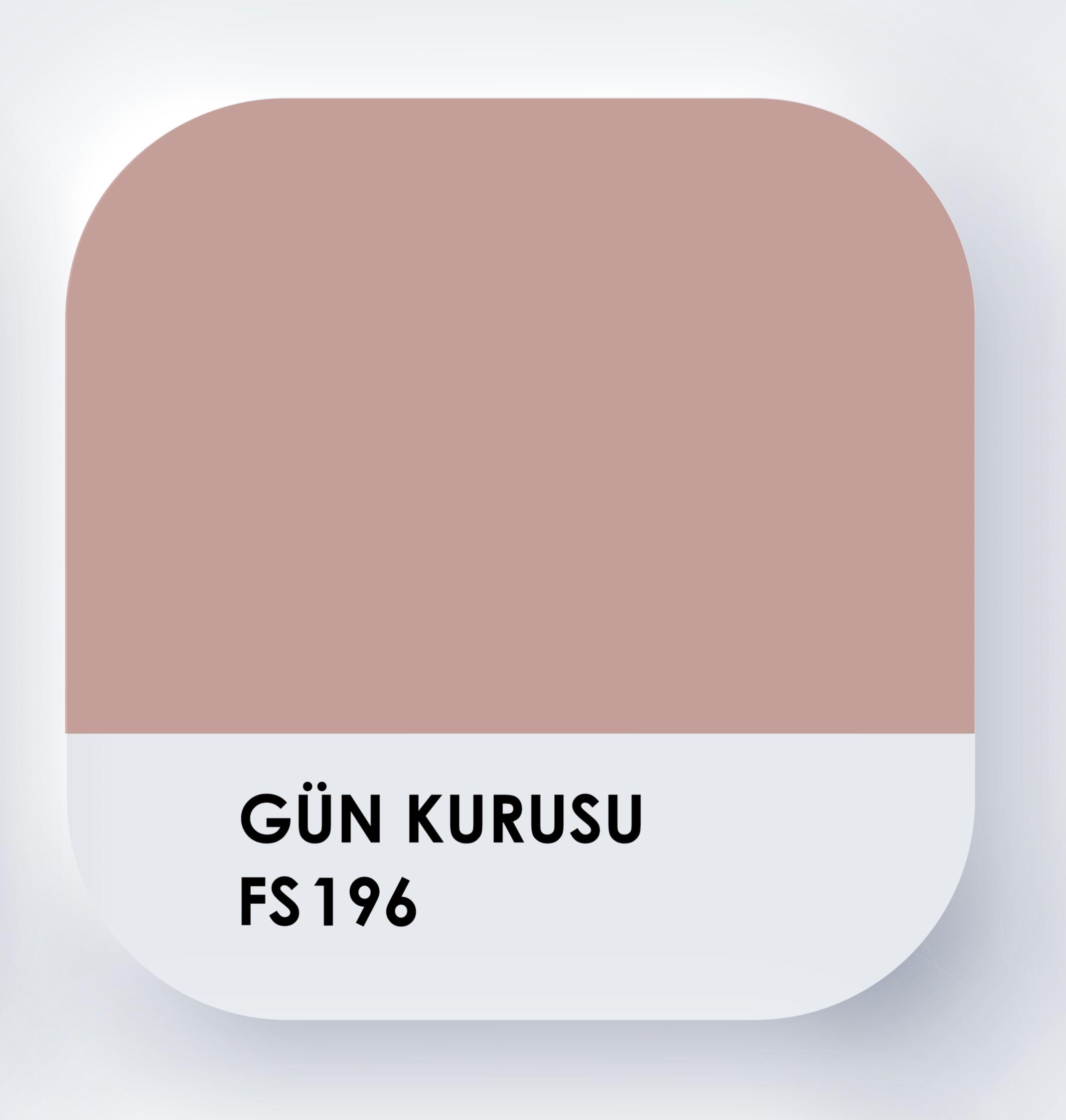 Piktura Su Bazlı Silikonlu Silinebilir İç Cephe Duvar Boyası, Ekonomik Boy, 350ml - Gün Kurusu