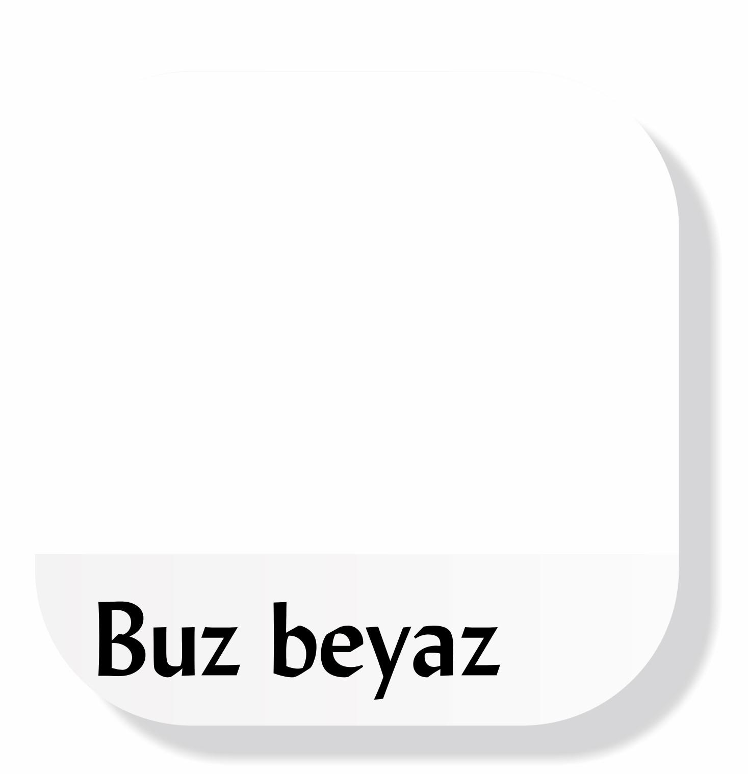 Piktura Akrilik Multisurface Boya Beyaz