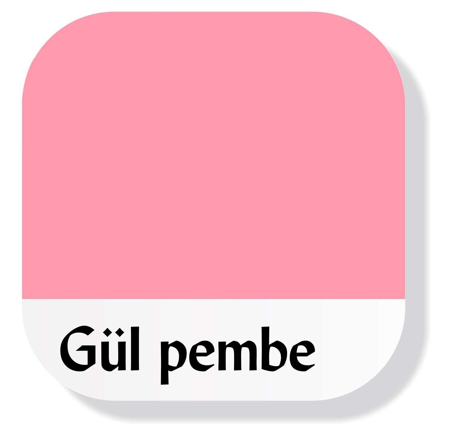 Piktura Akrilik Multisurface Boya Gül Pembe