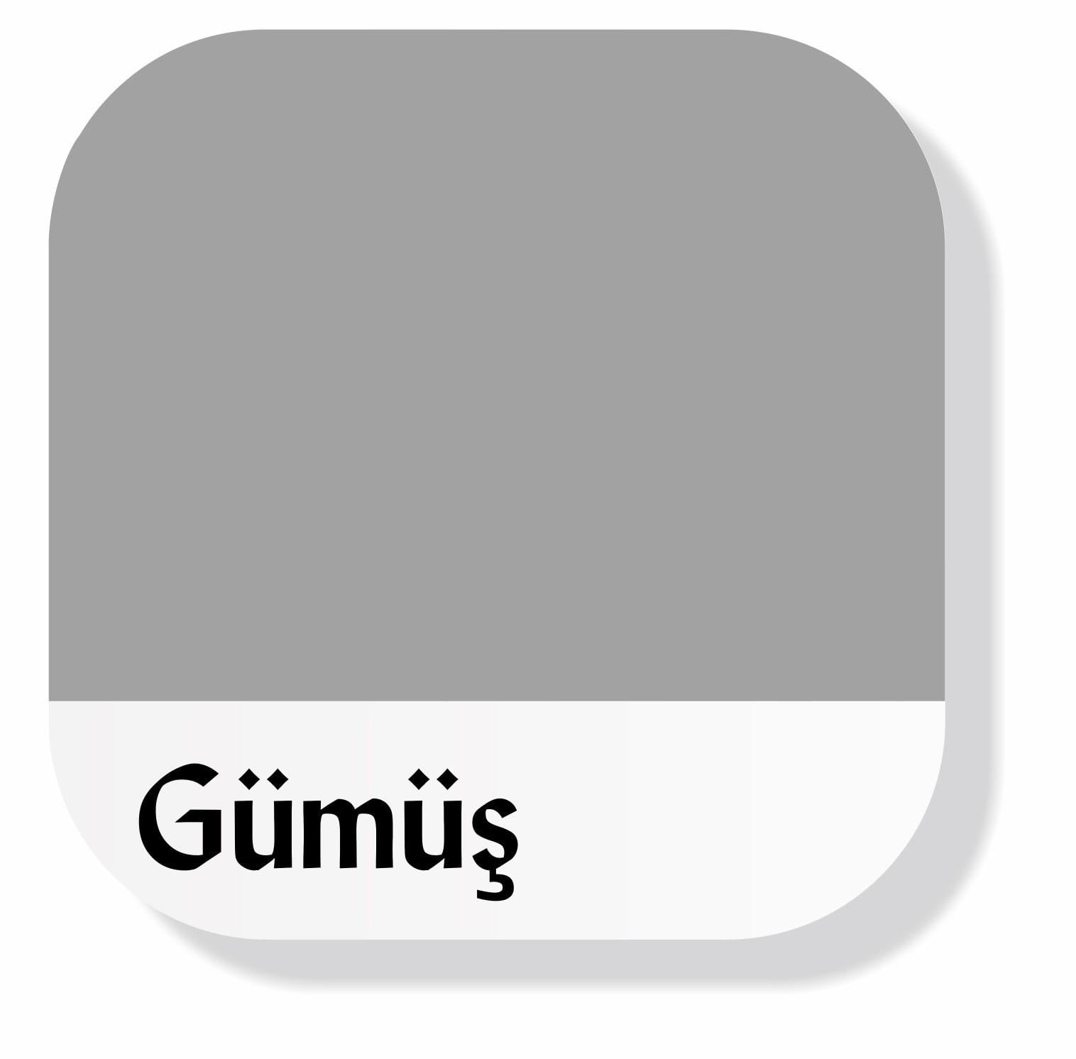 Piktura Akrilik Multisurface Boya Gümüş Gri
