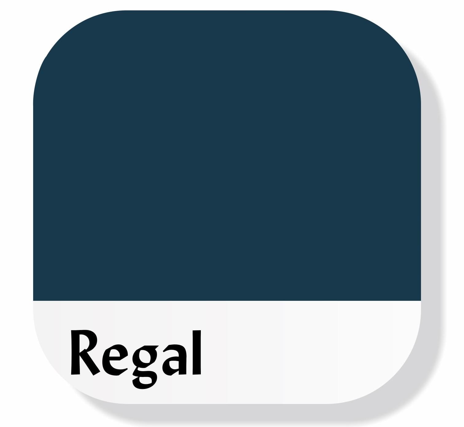 Piktura Akrilik Multisurface Boya Regal