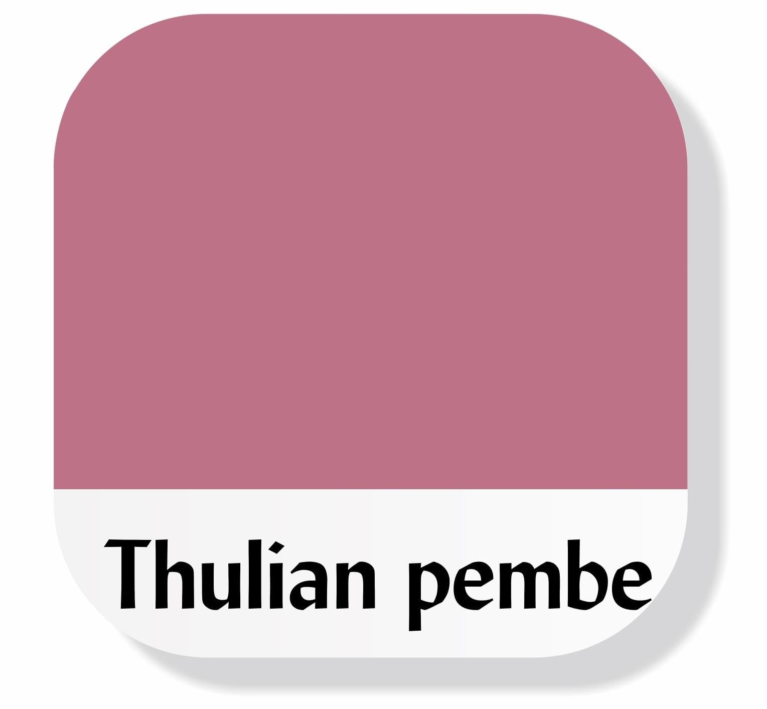 Piktura Akrilik Multisurface Boya Thulian Pembe