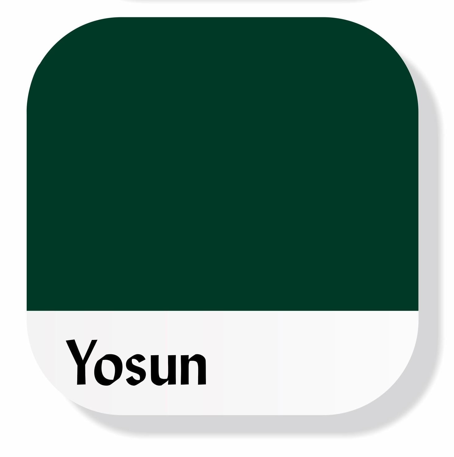 Piktura Akrilik Multisurface Boya Yosun Yeşili