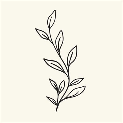 Piktura Duvar Dekorasyon Kiti (Gardenia)