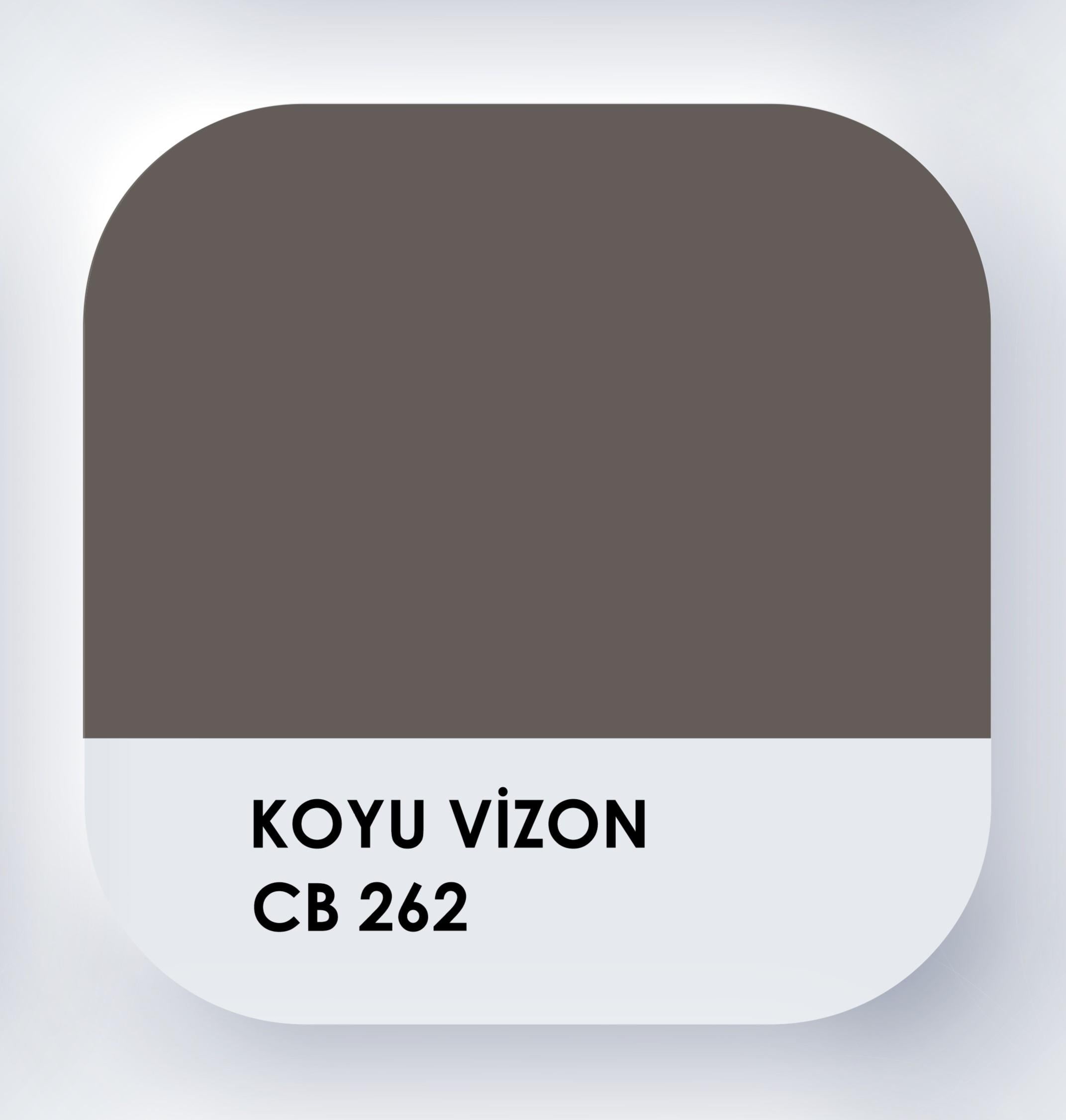 Piktura Su Bazlı Silikonlu Silinebilir İç Cephe Duvar Boyası, Ekonomik Boy, 350ml - Koyu Vizyon