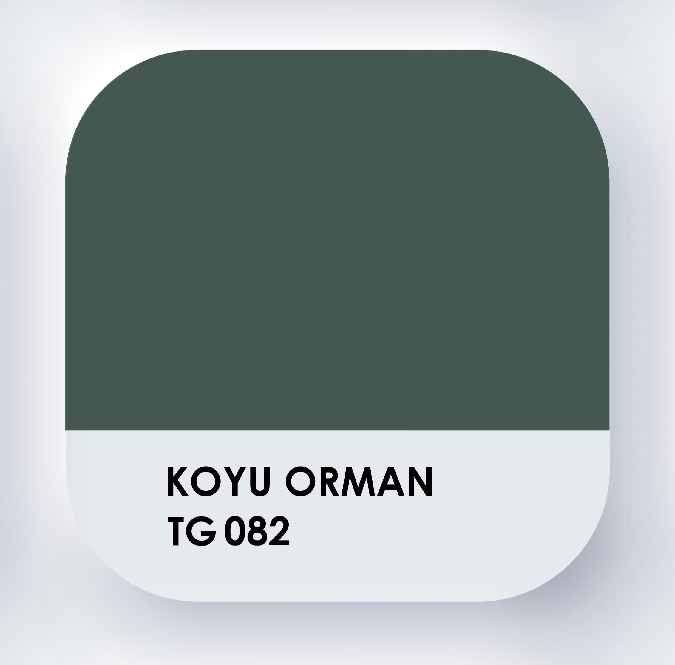 Piktura Su Bazlı Silikonlu Silinebilir İç Cephe Duvar Boyası, Ekonomik Boy, 350ml - Koyu Orman (koyu yeşil)