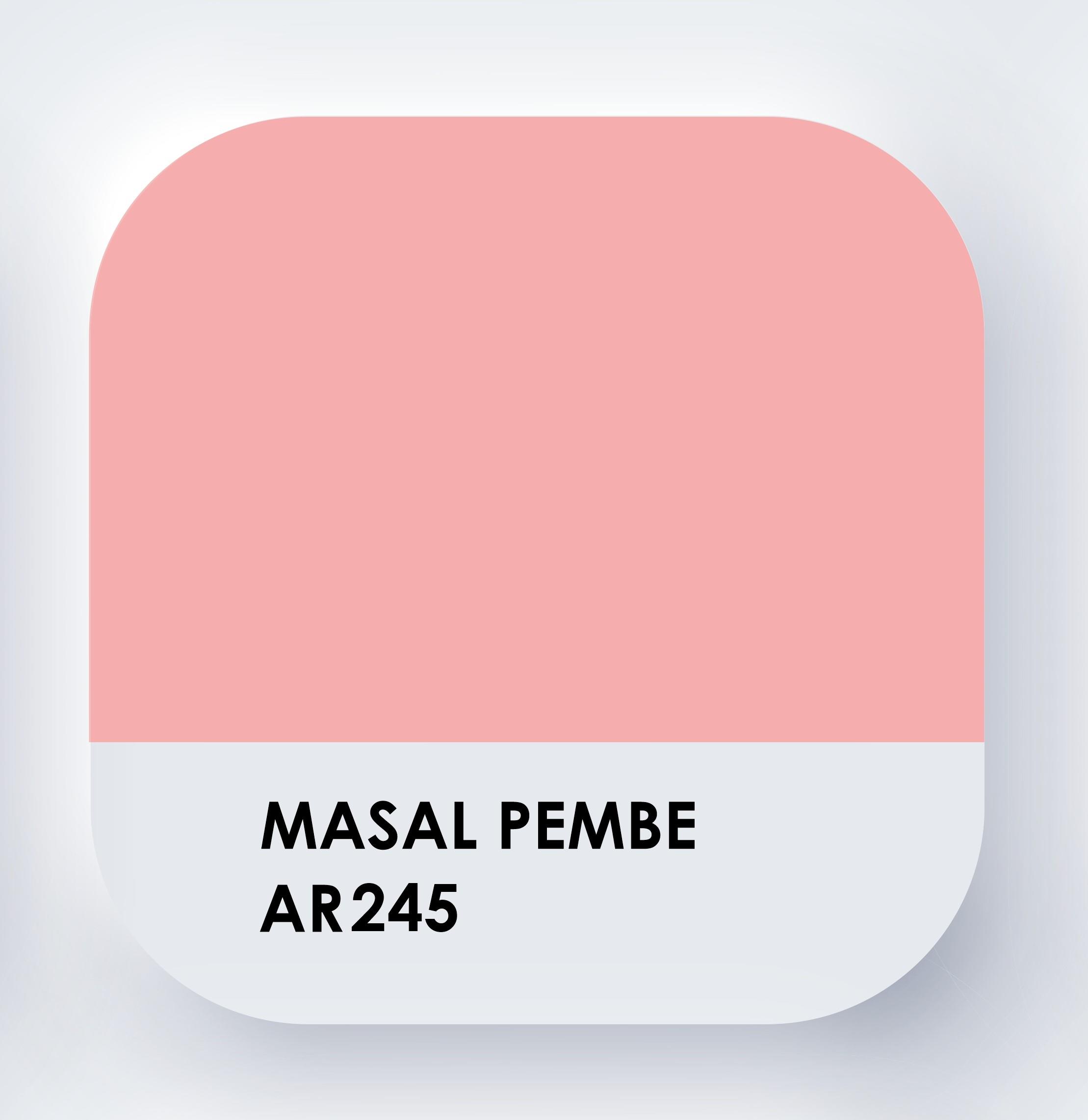 Piktura Su Bazlı Silikonlu Silinebilir İç Cephe Duvar Boyası, Ekonomik Boy, 350ml - Masal Pembe