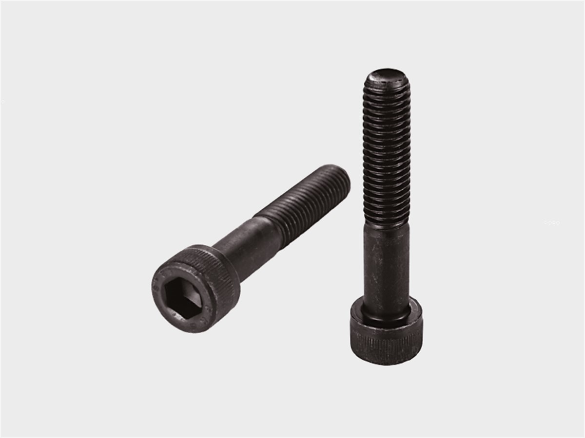 Nalburun İmbus Civata 4X10  8.8 1 Adet