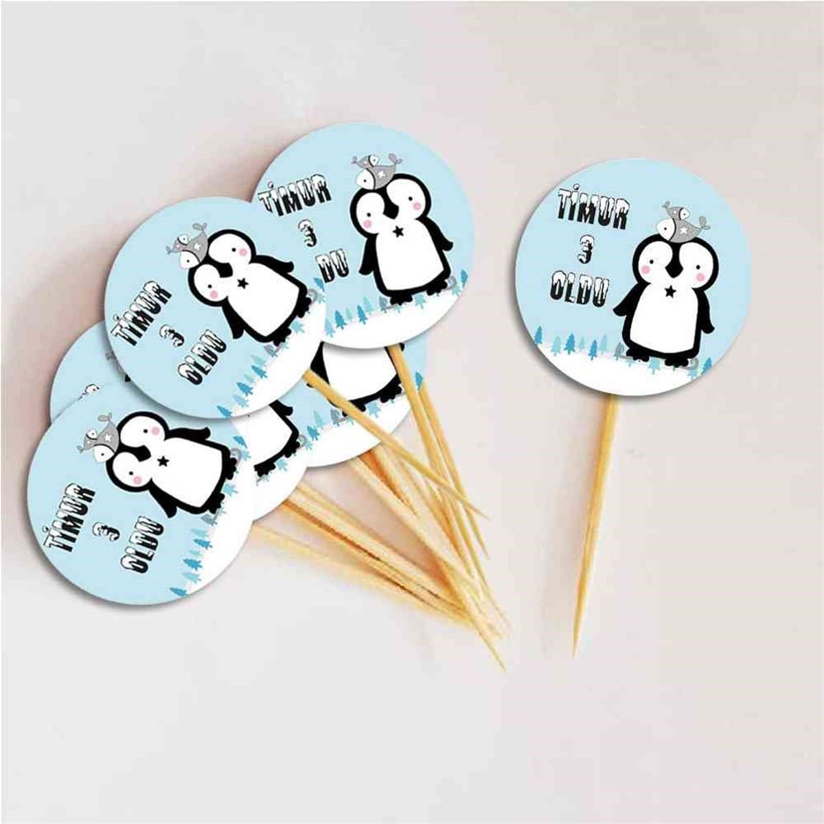 Balıklı Penguen Konsepti Kurdan  