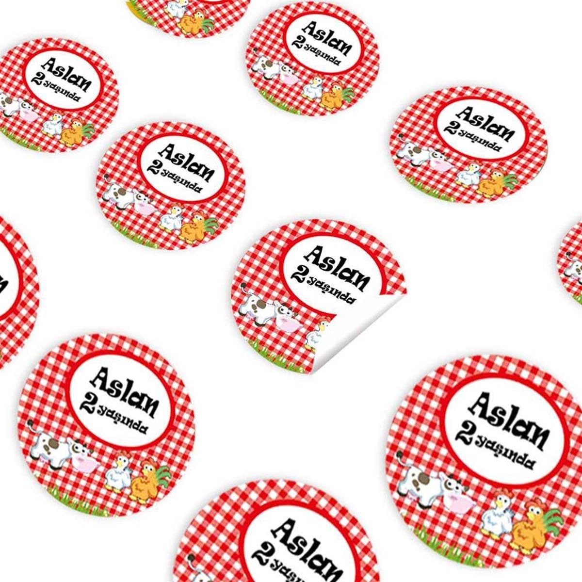 Çiftlik Konsept Sticker 30 Adet  