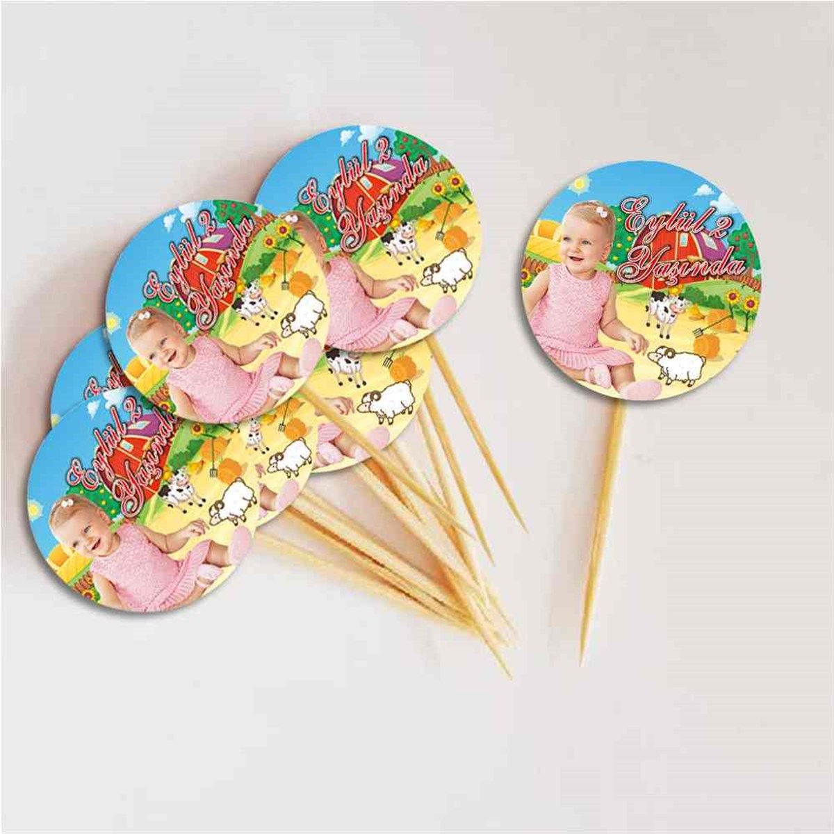 Çiftlik Konsepti Kurdan  