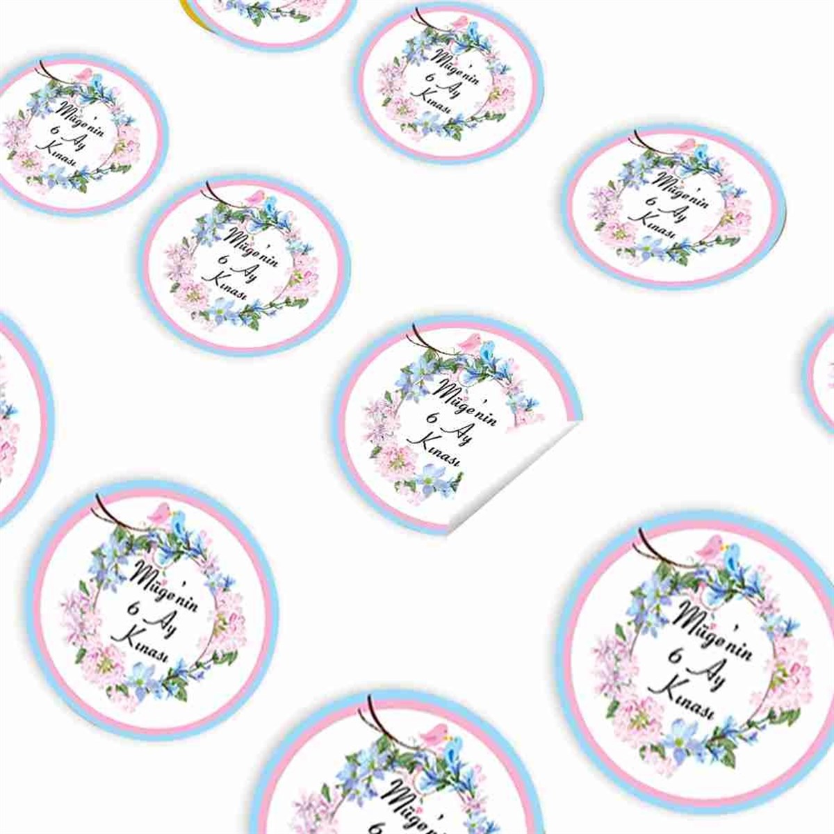 6 Ay Kınası Pembe Çicekli Kuşlu Tema Sticker 30 Adet 