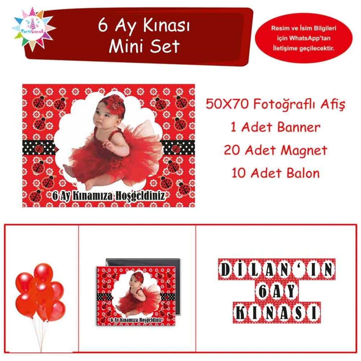 6 Ay Kınası Uğur Böceği Parti Süsü Mini Set 