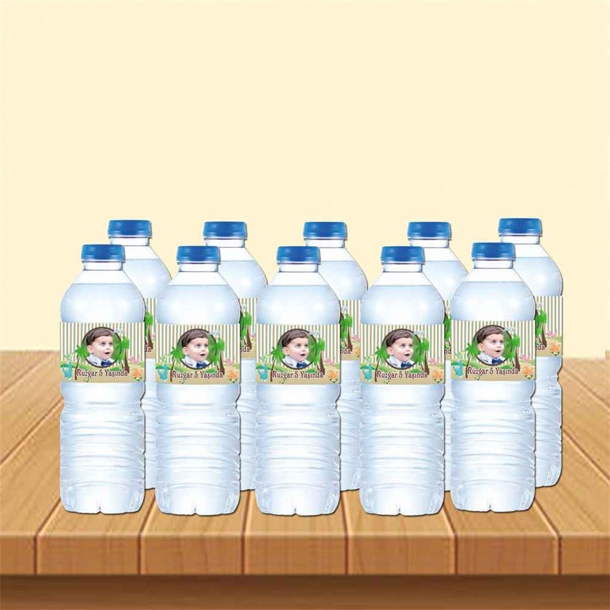 Dinazor Temalı Su Şisesi Bandı    