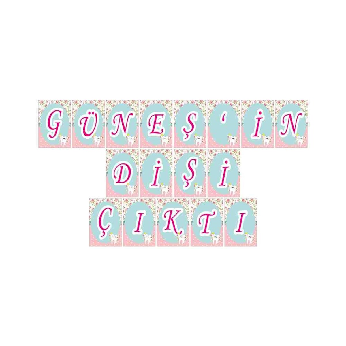 Diş Partisi Pembe Güllü Diş Parti Seti Harf Banner 