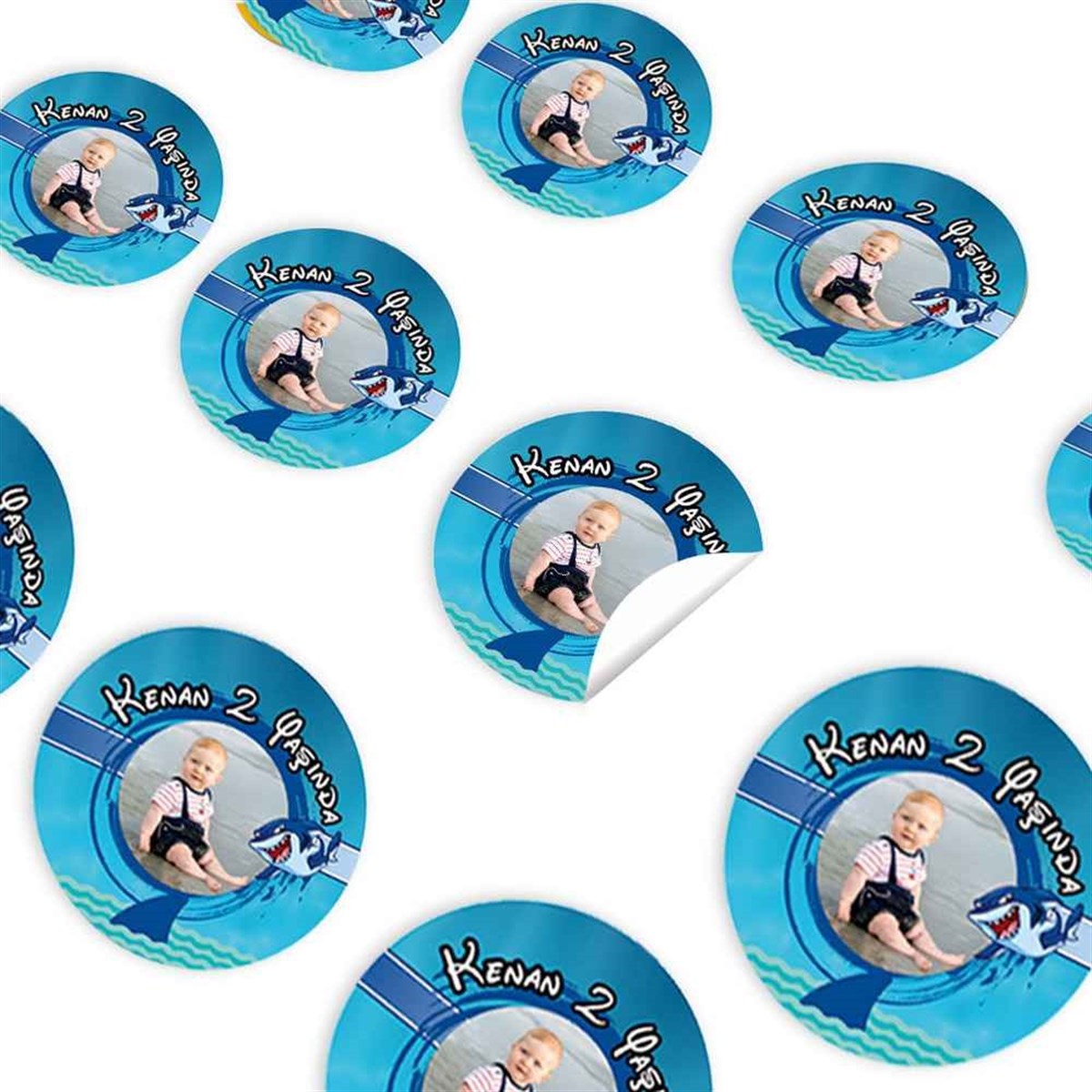 Köpek Balığı Konsept Sticker 30 Adet 