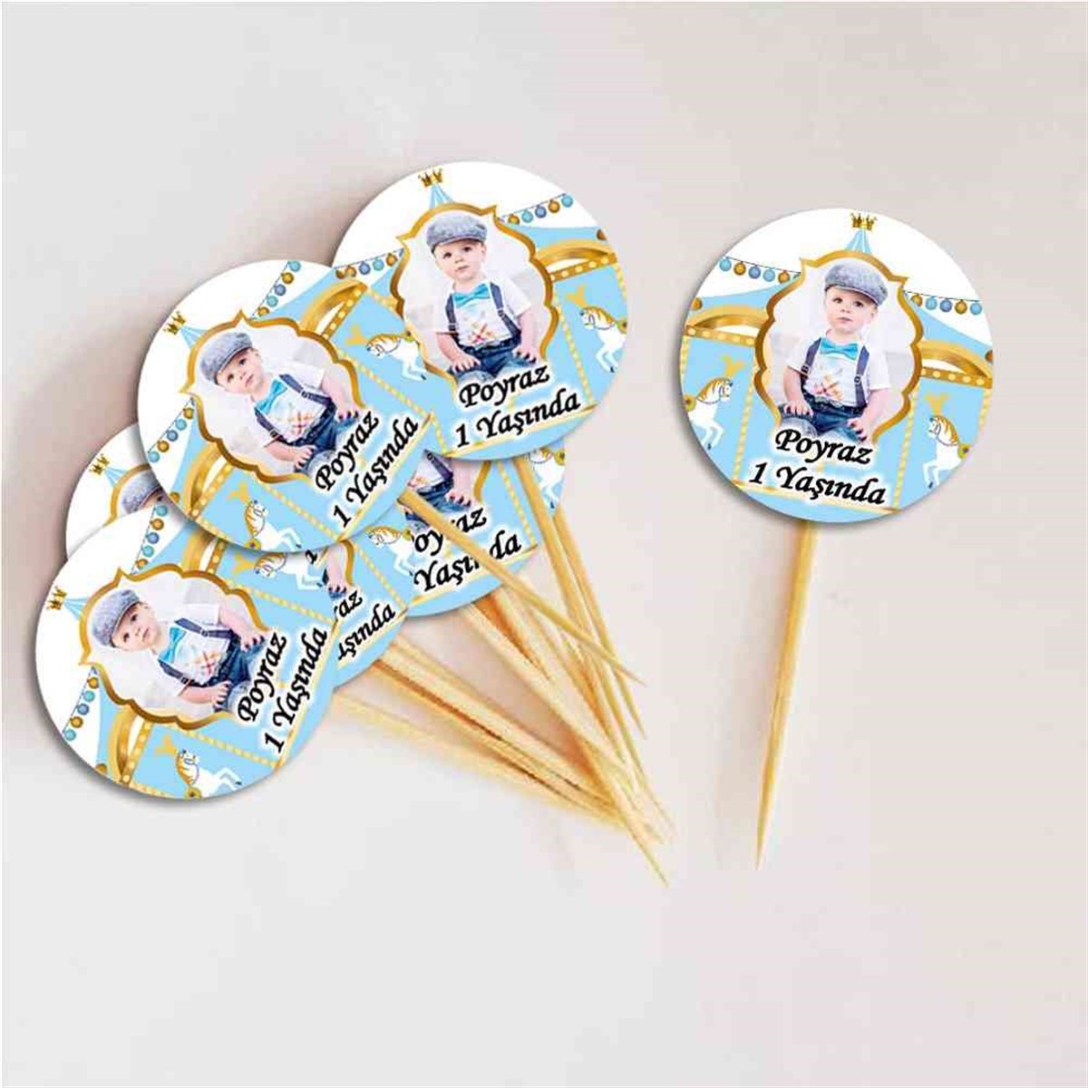 Mavi Resimli  Atlı Karınca Kurdan   