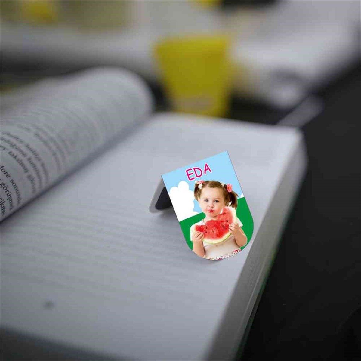 Meyve Konsepti Kitap Ayraçı Magneti 