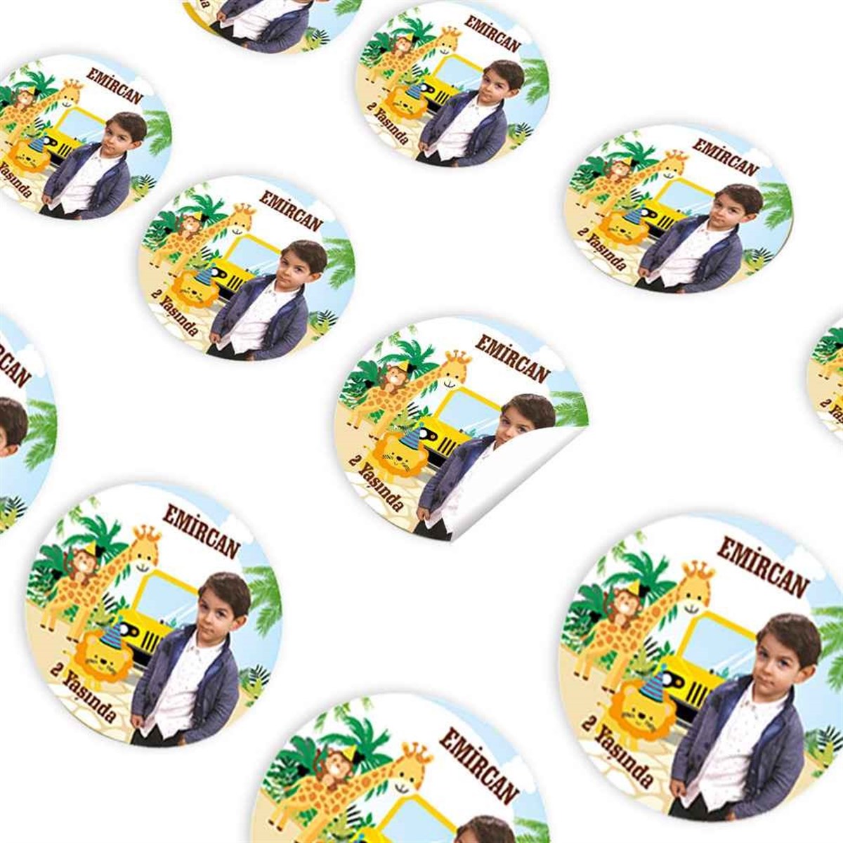 Orman Hayvanları Safari Konsept Sticker 30 Adet 