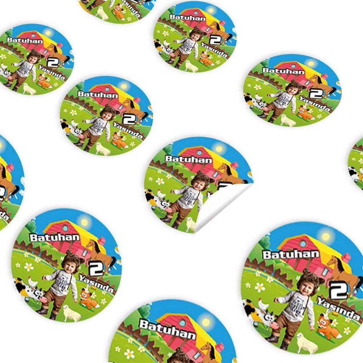 Resimli Çiftlik Konsept Sticker 30 Adet 