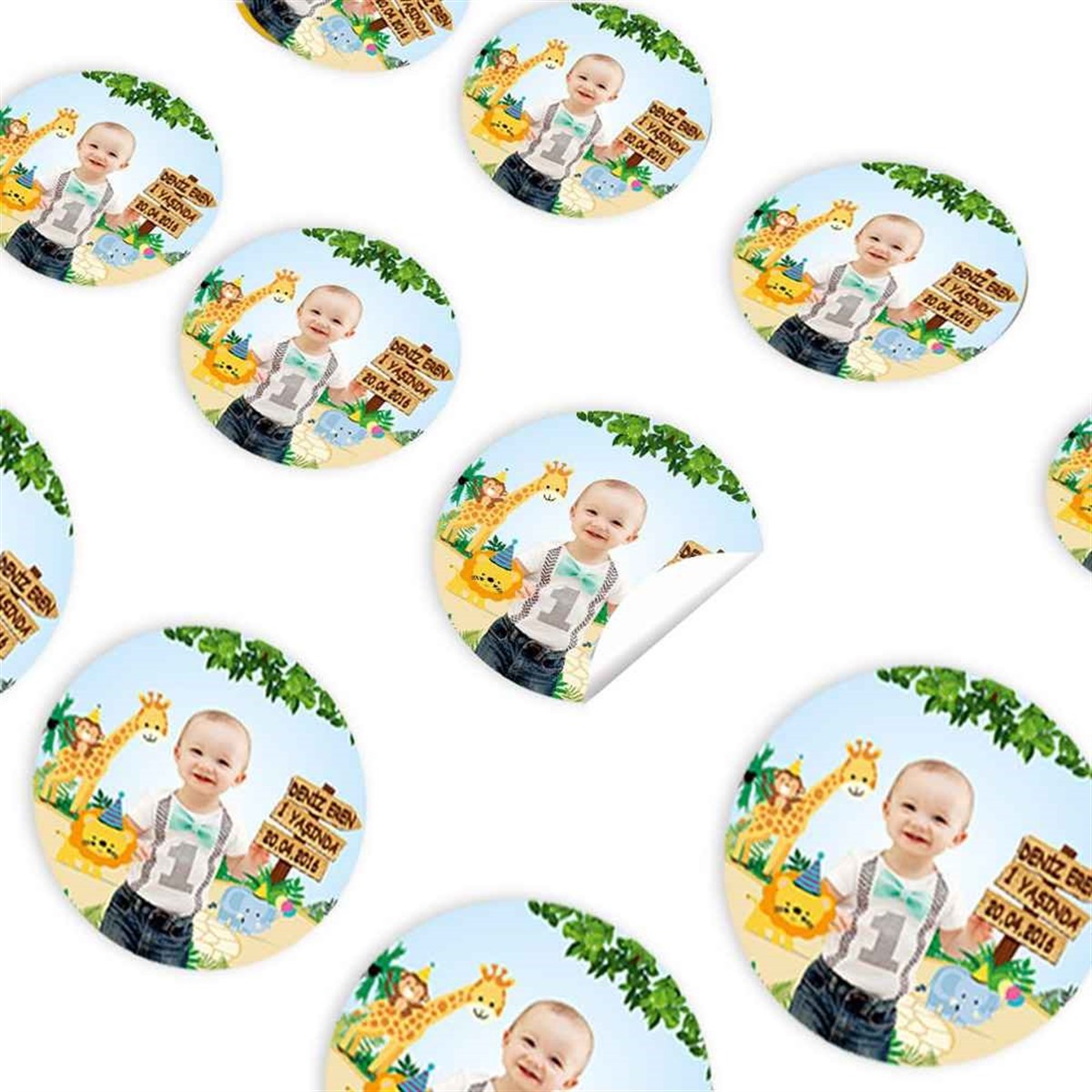 Safari Konsept Sticker 30 Adet 