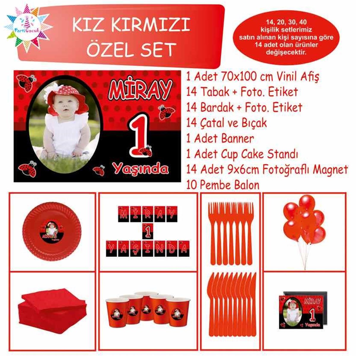 Siyah Kırmızı Uğur Böceği Konsept Özel Set 
