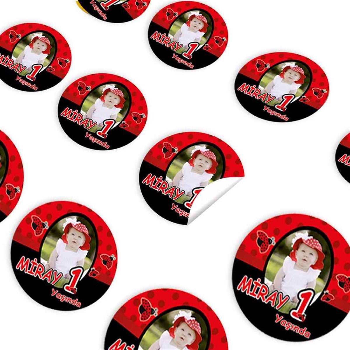 Siyah Kırmızı Uğur Böceği Konsept Sticker 30 Adet 