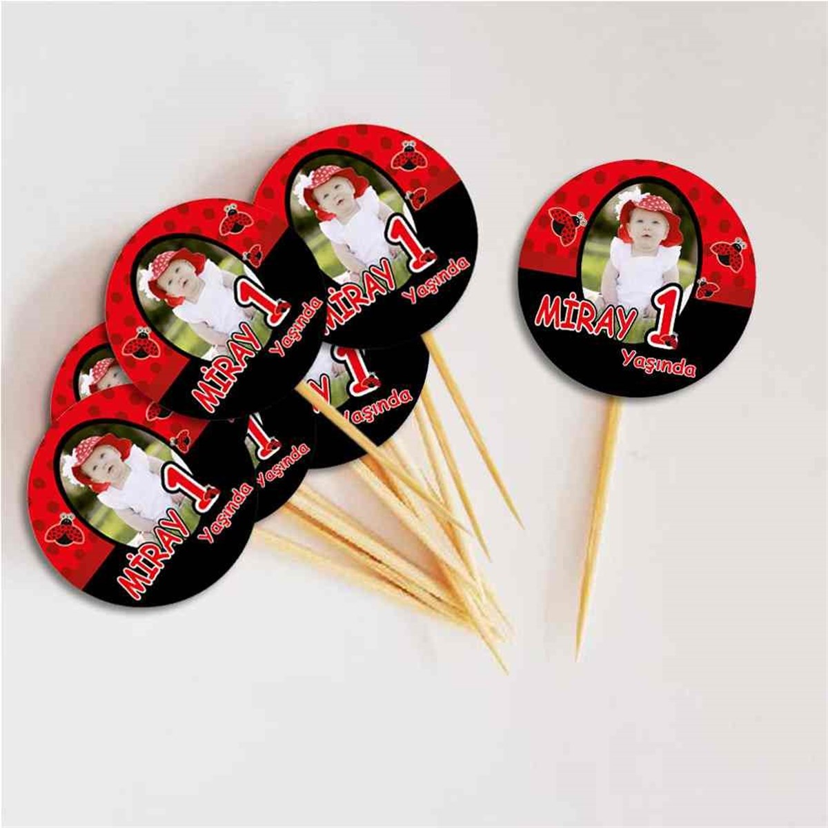 Siyah Kırmızı Uğur Böceği Kurdan 