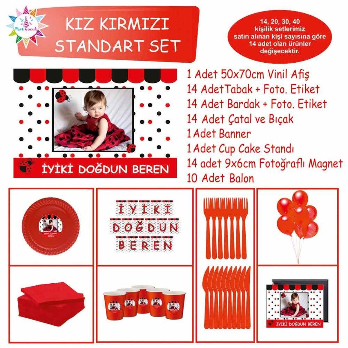 Uğur Böceği Parti Tema Seti Standart Set  