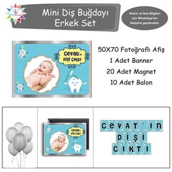 Diş Partisi Gümüş Melekli Mini Set 